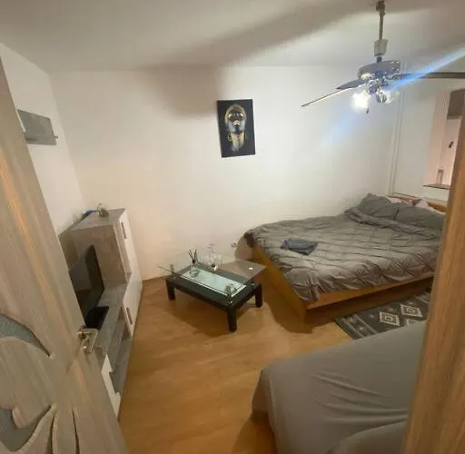 Apartament Cochet Langa Iulius