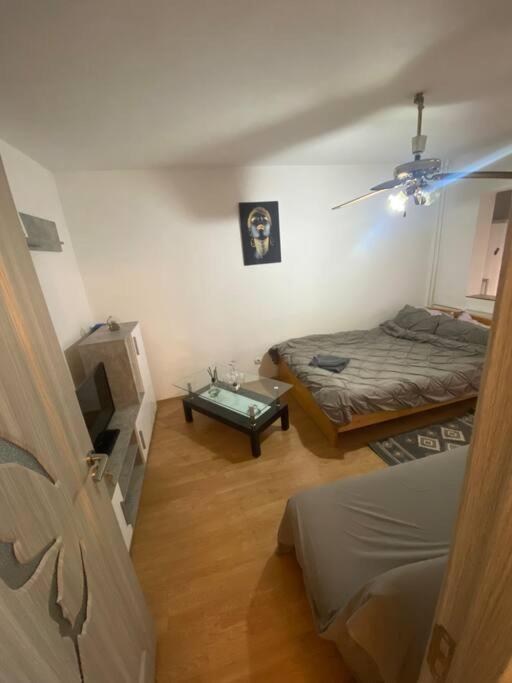 Apartament Cochet Langa Iulius