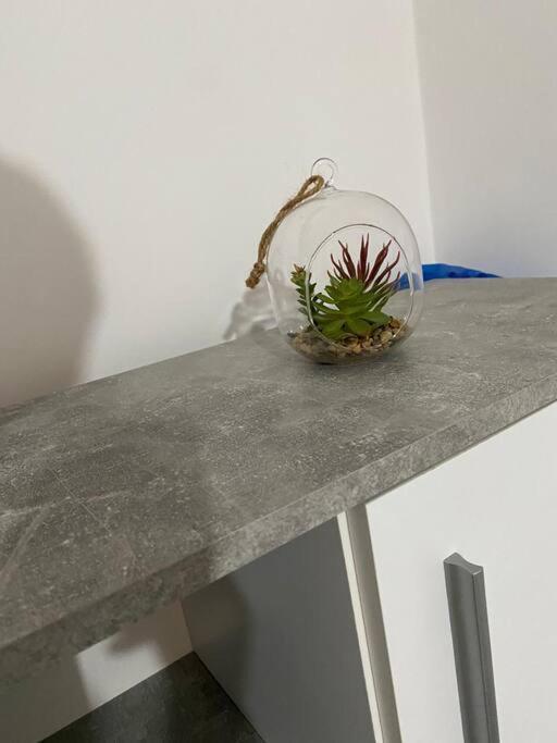 Apartament Cochet Langa Iulius *