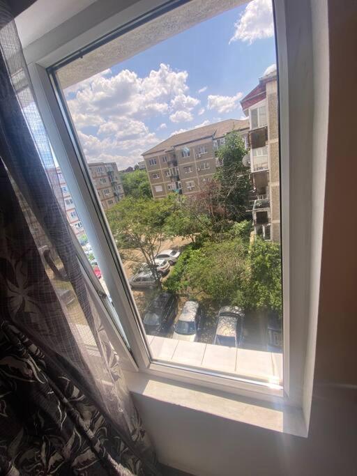 Apartament Cochet Langa Iulius Appartement *